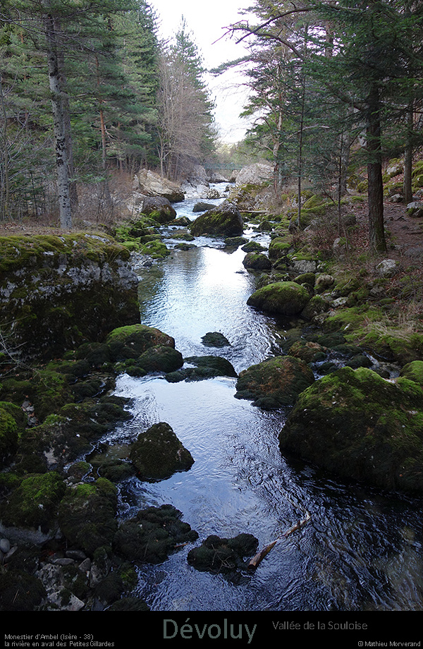 20170223_valleesouloise_gillardesptite2