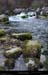 20170223_valleesouloise_gillardesgrde22