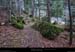 20170223_valleesouloise_gillardeschemin