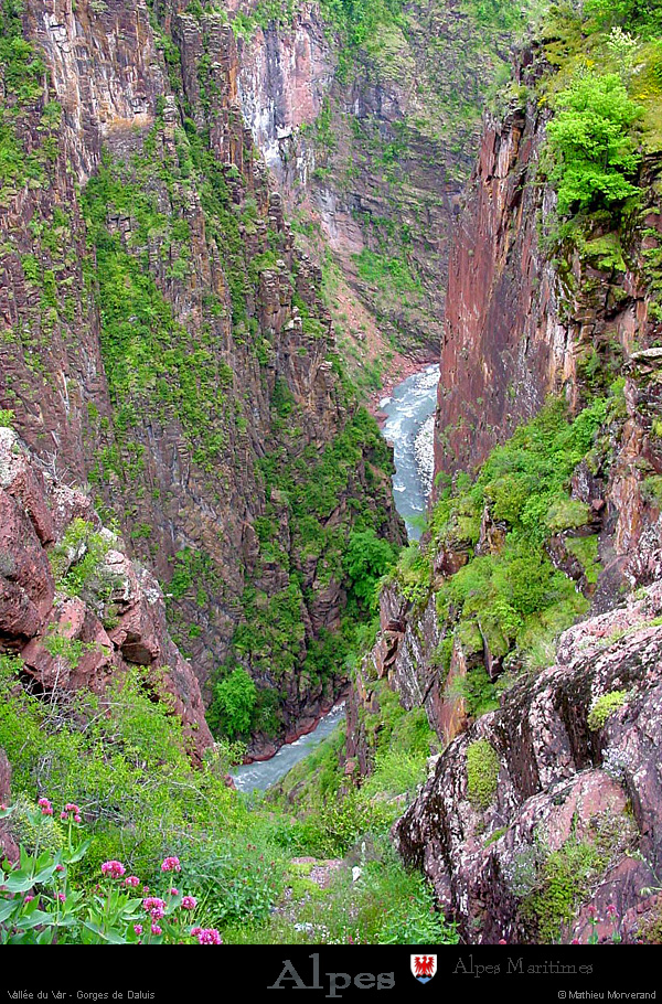 20010513_var_gorgesdedaluis_05