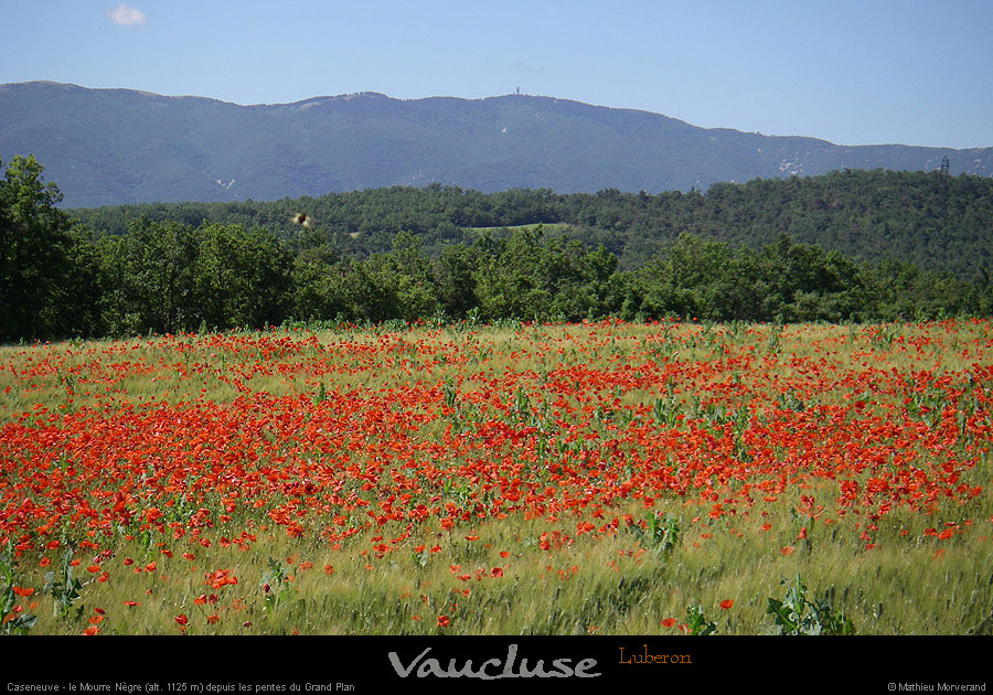 20080618_105