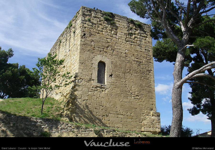 20080618_262