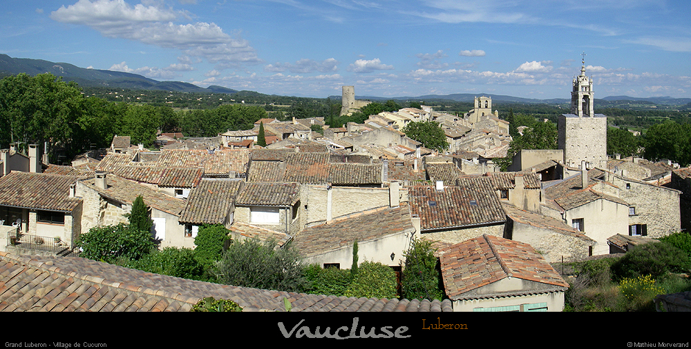 20080618_271