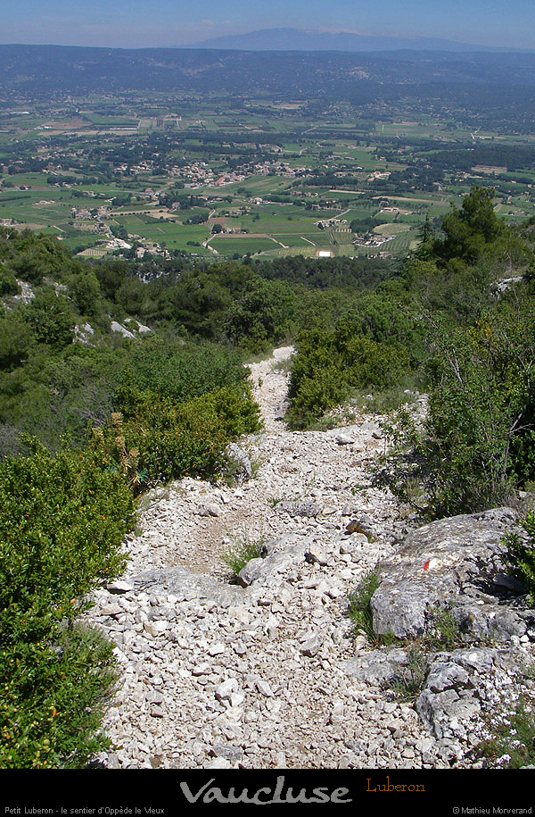 20080619_061