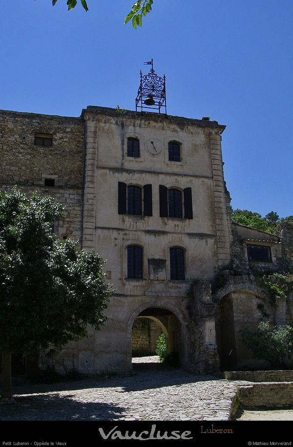 20080619_096