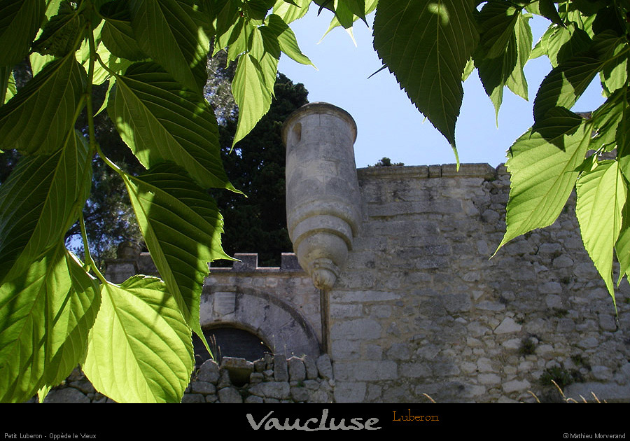 20080619_103