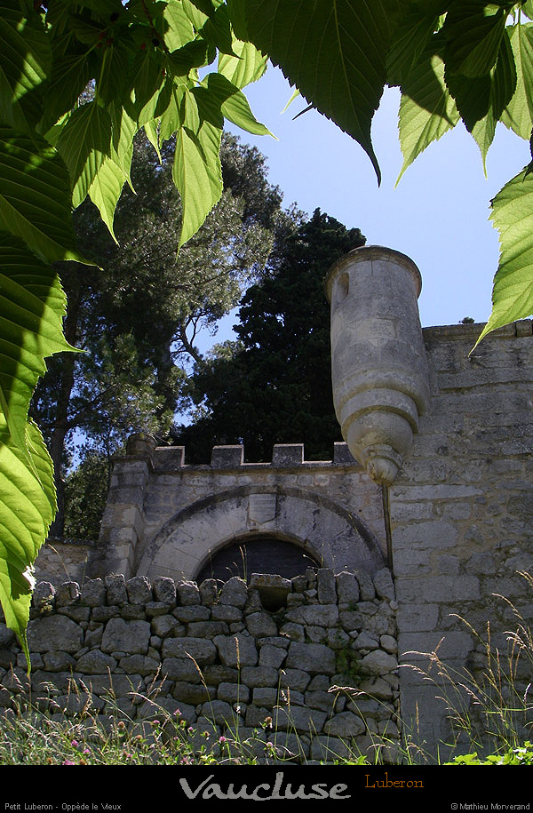 20080619_104