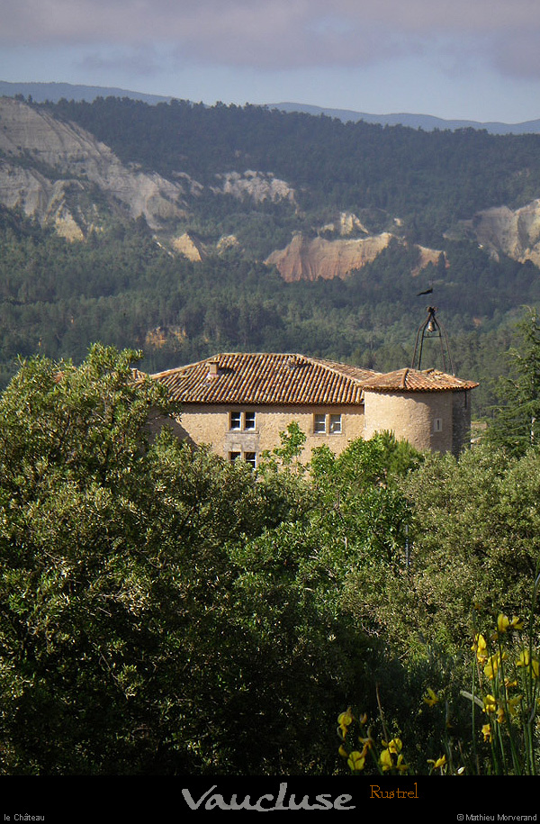 20080618_006