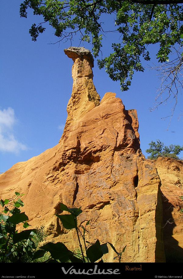 20080618_080