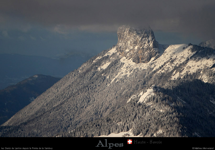 20130203_74dentsdelanfondepuisptedesambuy1
