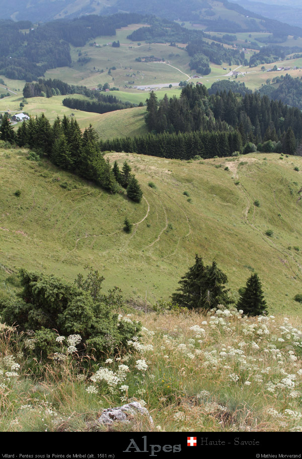 20110716_htesavoie_pentesptemiribel1
