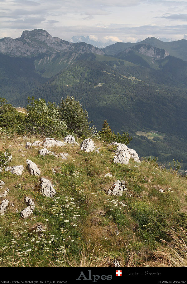 20110716_htesavoie_ptemiribel_verslene2