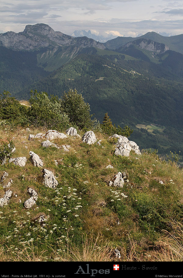 20110716_htesavoie_ptemiribel_verslene3