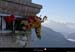 20110715_htesavoie_pointemiribel_sommet5