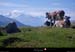 20110716_htesavoie_megevette_fanglesnord