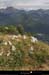20110716_htesavoie_ptemiribel_verslene3