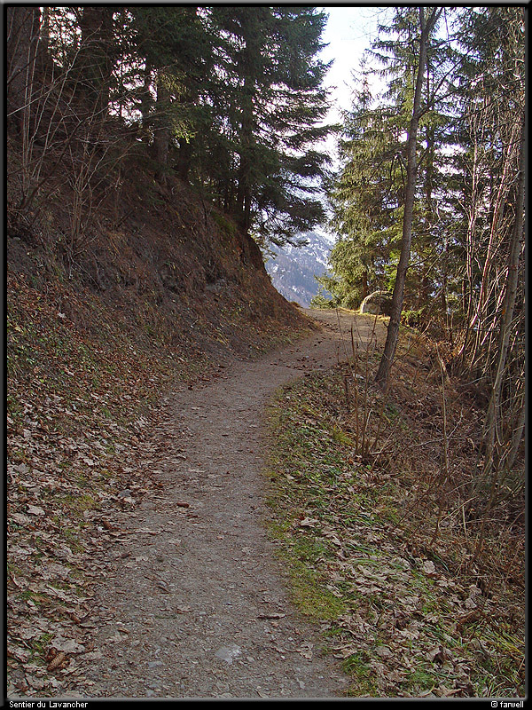 20041216_lavancher_04