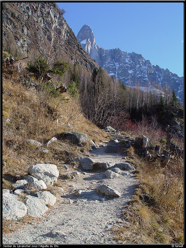 20041216_lavancher_06