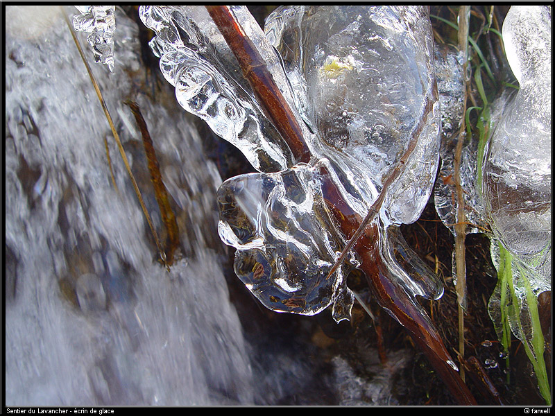20041216_lavancher_09