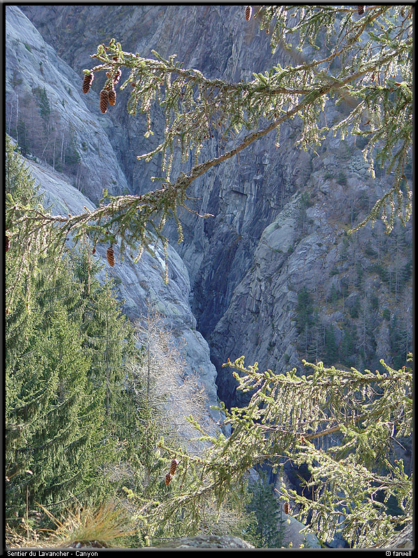 20041216_lavancher_10