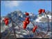 20041216_lavancher_20