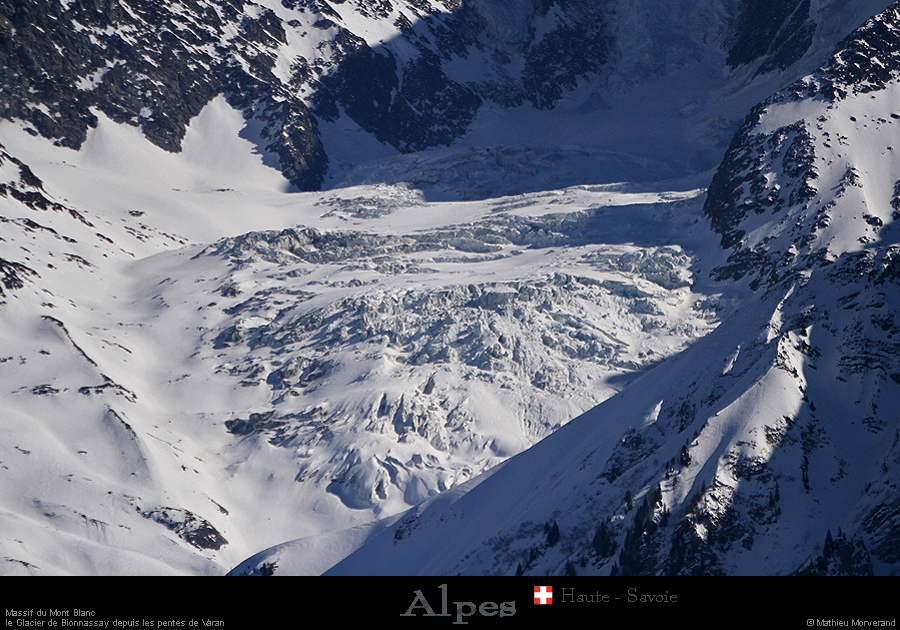 20190225_glacierbionnassay