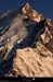 20190224_bionassayaiguille3