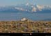 20020101_mtsaleve_creteetmontblanc_7