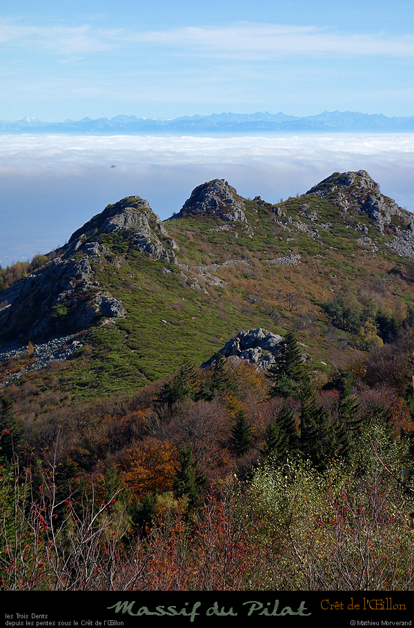20181025_oeilllon_col_pano_3dents2